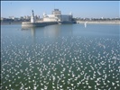 Lakhota lake 3